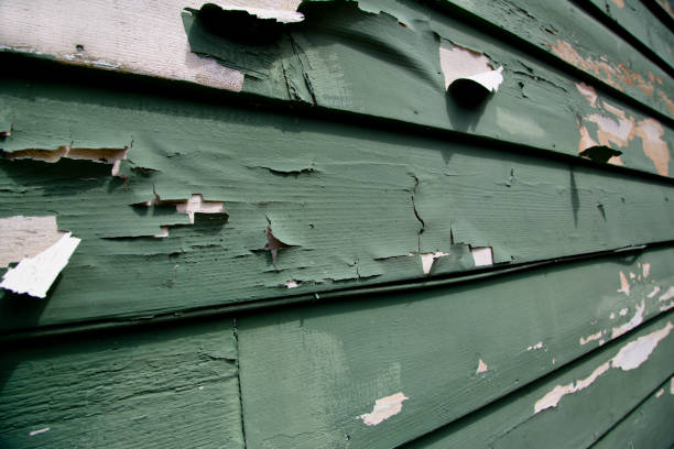 Best Recycling Services for Junk  in Dogtown, CA