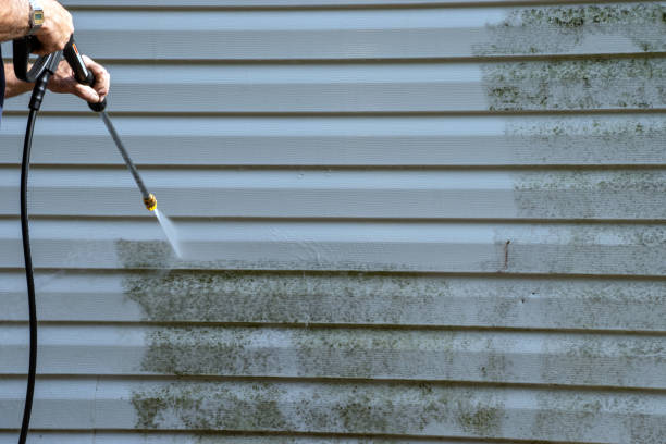 Best Demolition Debris Removal  in Dogtown, CA